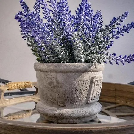 Delux 14 Апартаменты