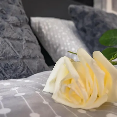 Апартаменты Delux 14 Суботица